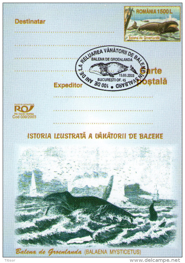 Arrctica, Antarctica, Whale. - Polar Ships & Icebreakers