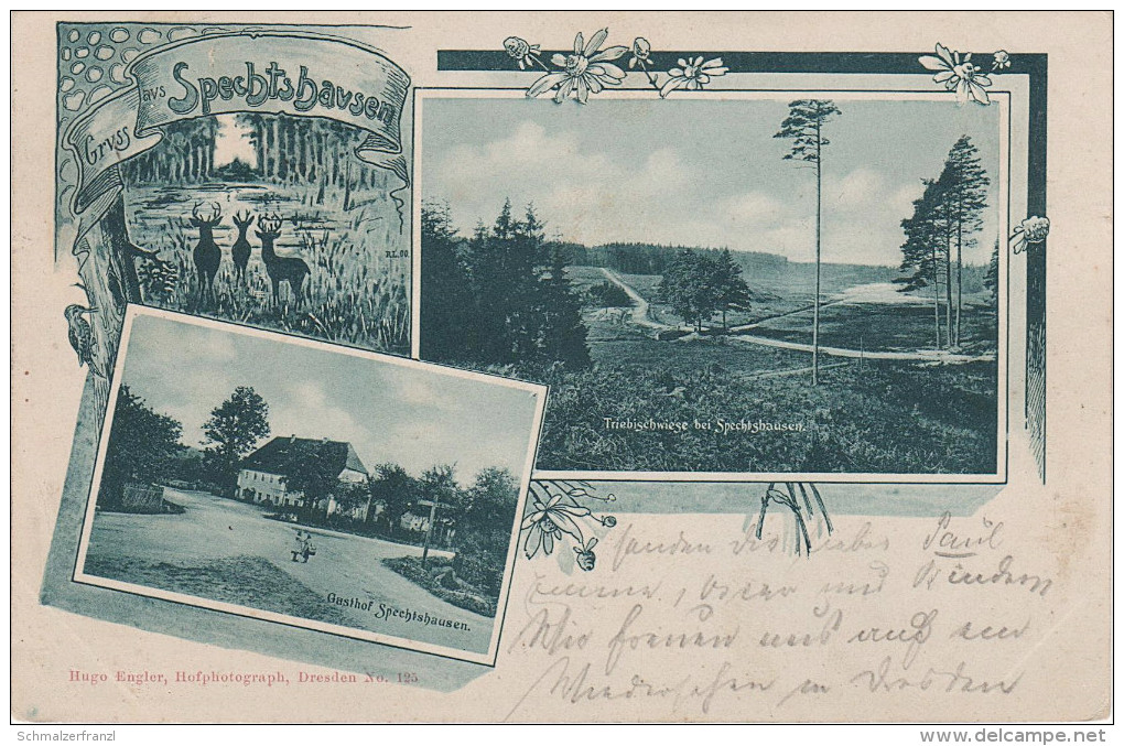 Litho AK Gruss Spechtshausen Gasthof Triebischwiege Bei Hartha Tharandt Pohrsdorf Fördergersdorf Grumbach Herzogswalde - Herzogswalde