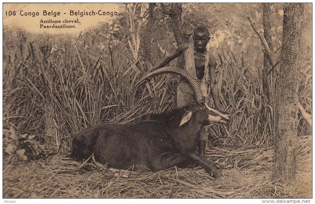 Chasse Antilope Cheval Entier 30ct De Kaballa à Stambruges - Belgisch-Kongo