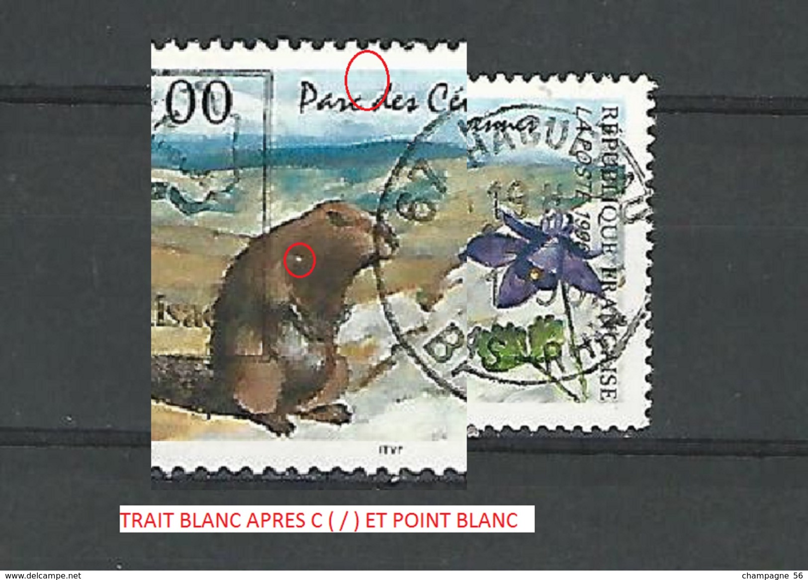 * 1996 N° 2997  MARMOTTE  OBLITÉRÉ - Used Stamps