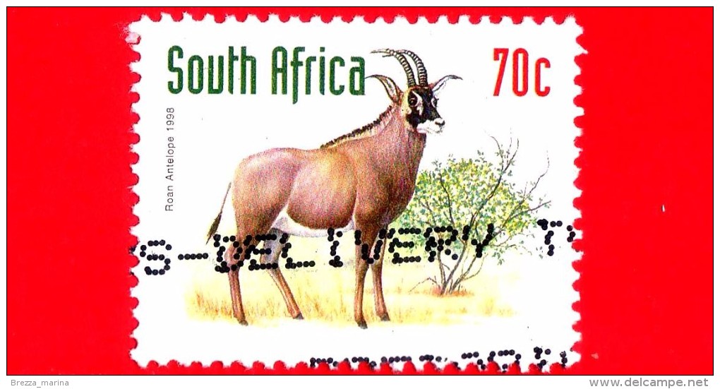 SUD AFRICA -SOUTH AFRICA - USATO - 1998 -  Antilope - 70 - Usati