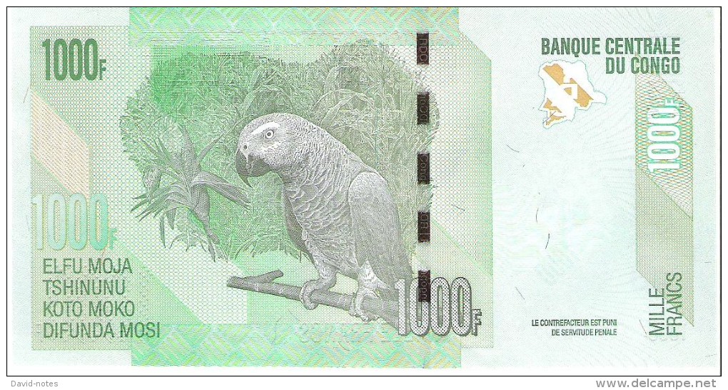 Congo - Pick 101 - 1000 Francs 2013 - Unc - Repubblica Democratica Del Congo & Zaire