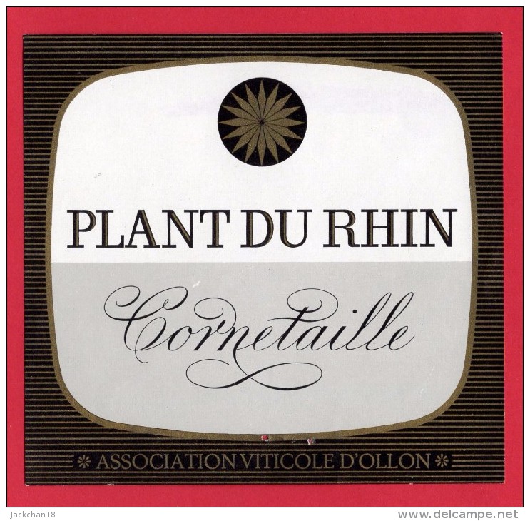 -- PLANT DU RHIN  CORNETAILLE - ASSOCIATION VITICOLE D'OLLON -- - 700 Años De La Confederación Helvética