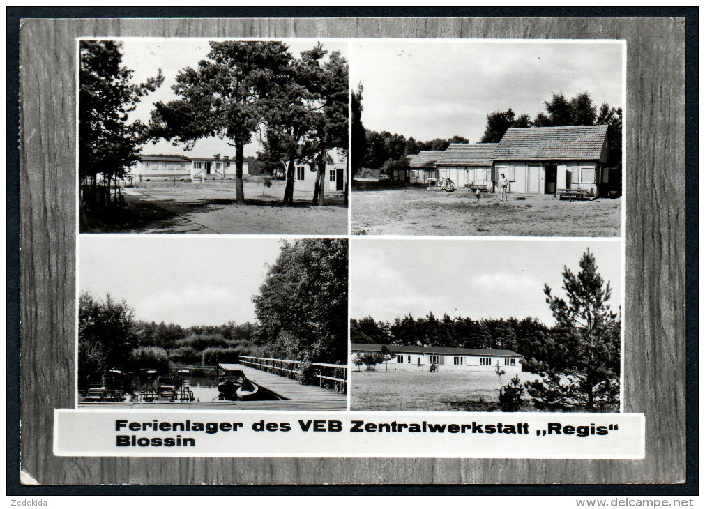 7925 - Alte MBK Ansichtskarte - Ferienlager Regis - Blossin Heidesee - Gel - Dahme