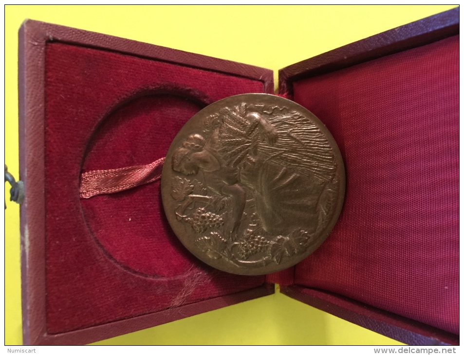 Medaille Du Ministère De L Agriculture Bronze Belle Pièce Sous Coffret D Origine Raisins Vignes Blés Concours Agricole - Professionnels / De Société