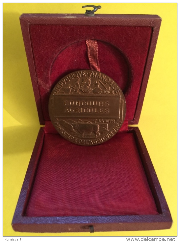 Medaille Du Ministère De L Agriculture Bronze Belle Pièce Sous Coffret D Origine Raisins Vignes Blés Concours Agricole - Professionnels / De Société