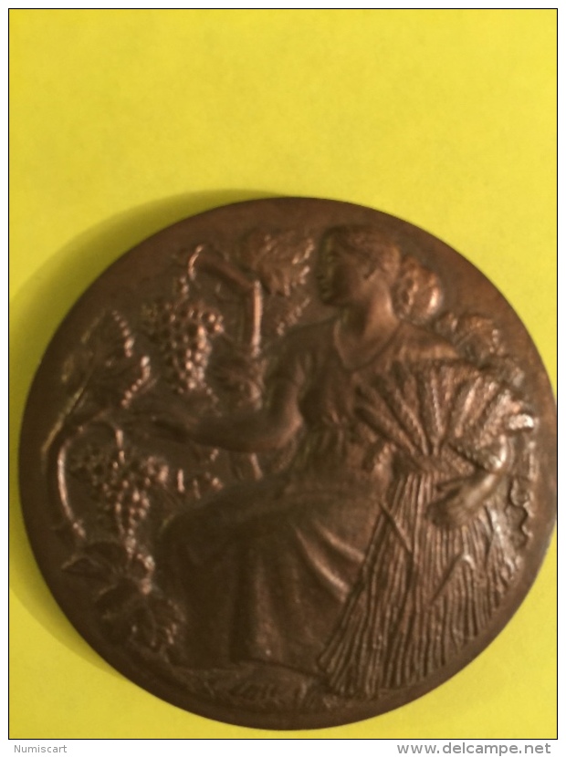 Medaille Du Ministère De L Agriculture Bronze Belle Pièce Sous Coffret D Origine Raisins Vignes Blés Concours Agricole - Professionnels / De Société