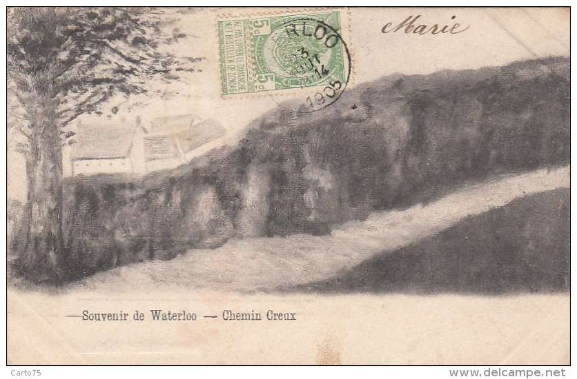 Belgique - Waterloo - Souvenir De Waterloo - Dessin Chemin Creux - 1905 - Waterloo