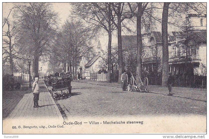 Oude-God - Villas - Mechelsche Steenweg (top Animation, Attelages Chiens Honden , G. Bongartz, 1910) - Mortsel