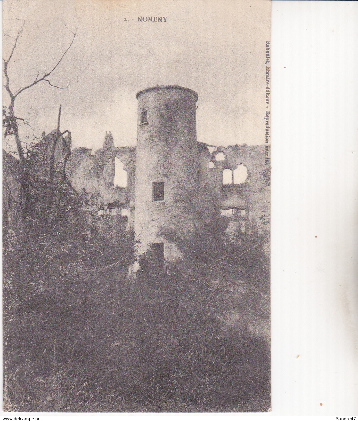 CPA (54) NOMENY.  Ruines Du Château....C887 - Castles