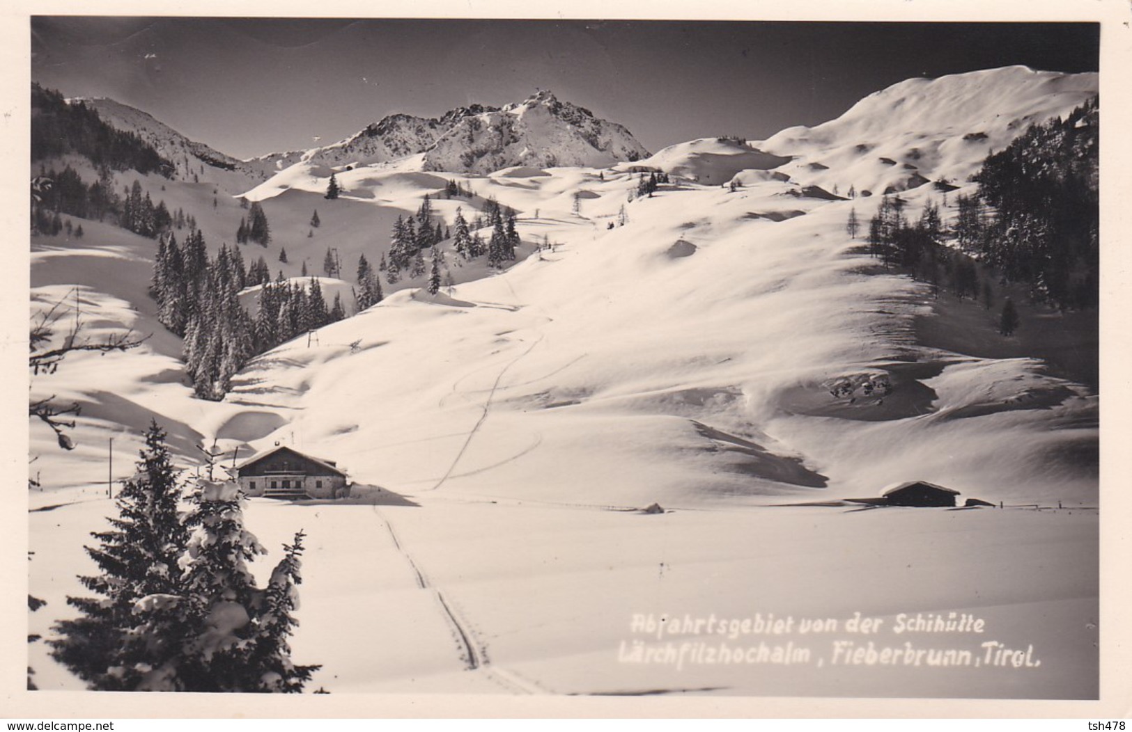 Carte-photo--AUTRICHE--TIROL--fieberbrunn--lärchfilzochalm-abfahrtsgebiet Von Der Schihütte ?---voir 2 Scans - Fieberbrunn