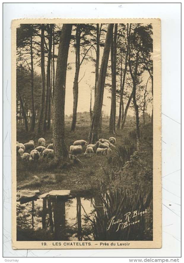 Les Chatelets : Près Du Lavoir (n°19 - Troupeau De Moutons) Ploufragan - Ploufragan