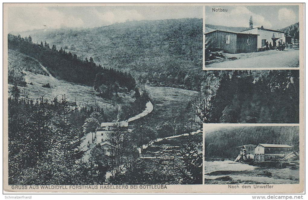 AK Gruß Waldidyll Gasthof Forsthaus Haselberg Notbau Unwetter Bei Bad Gottleuba Berggiesshübel Pirna Bielatal Oelsen - Bad Gottleuba-Berggiesshuebel