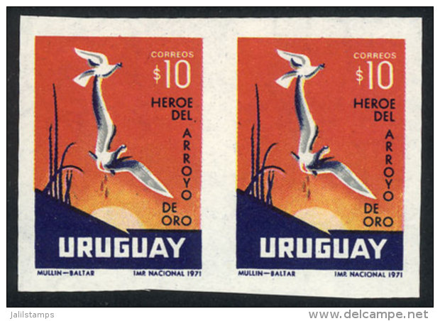 Sc.823, 1972 Birds, IMPERFORATE PAIR, MNH, VF Quality! - Uruguay