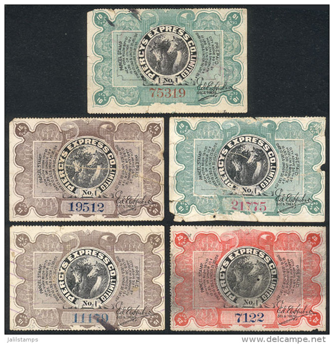 PIERCYS EXPRESS Co. Ltd.: 5 Old And Fantastic Stamps Of Between 10c. And 25c., Topic HORSES, With Defects But Very... - Postes Locales