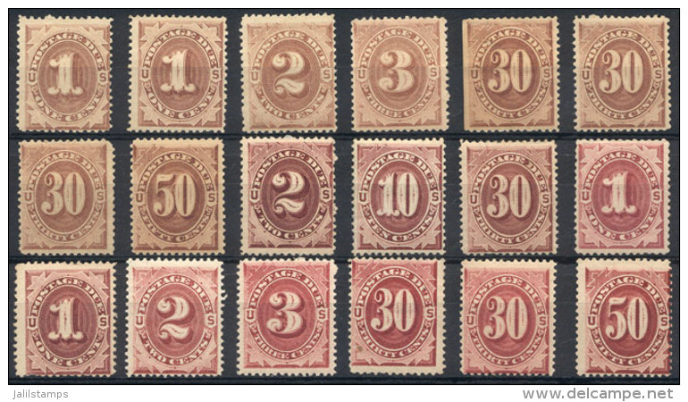 Sc.J1 + Other Values, Stockcard With 18 Examples, Mint Original Gum And Lightly Hinged, Almost All Of Very Fine... - Postage Due