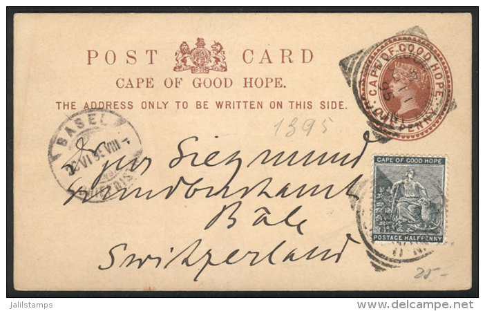 1p. Postal Card Uprated With &frac12;p. (total Postage 1&frac12;p.), Sent From Capetown To Switzerland On... - Cap De Bonne Espérance (1853-1904)
