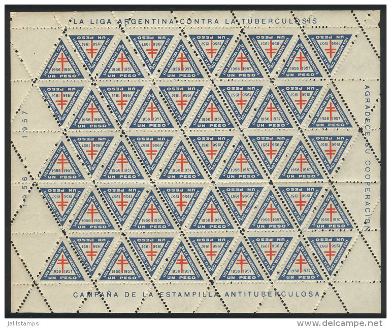 Argentine League Against Tuberculosis, 1956/7 Campaign, Complete Sheet Of 50 Cinderellas Of 1P., VF Quality! - Autres & Non Classés