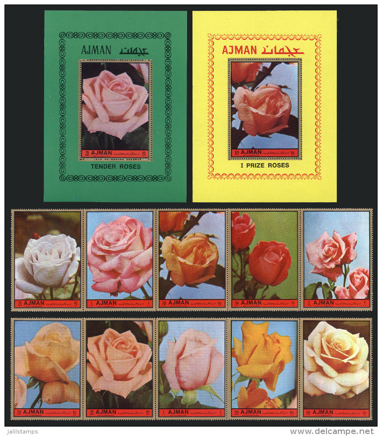 Roses, Complete Set Of 10 Values + 2 Souvenir Sheets, MNH, Excellent Quality! - Ajman