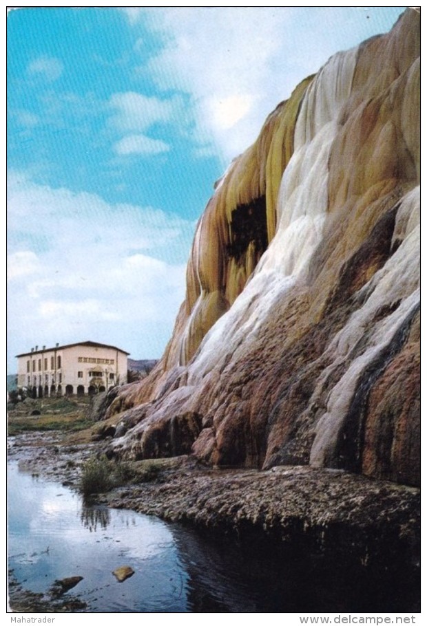 Algeria - Guelma - Hammam Meskhouten - Mailed 1982 - Guelma