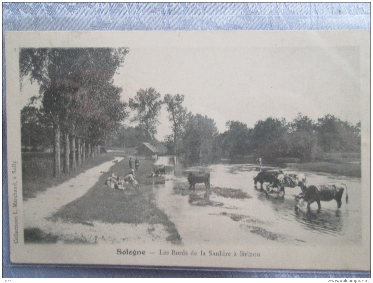 SOLOGNE . LES BORDS DE LA SAULDRE A BRINON . DOS 1900 - Brinon-sur-Sauldre