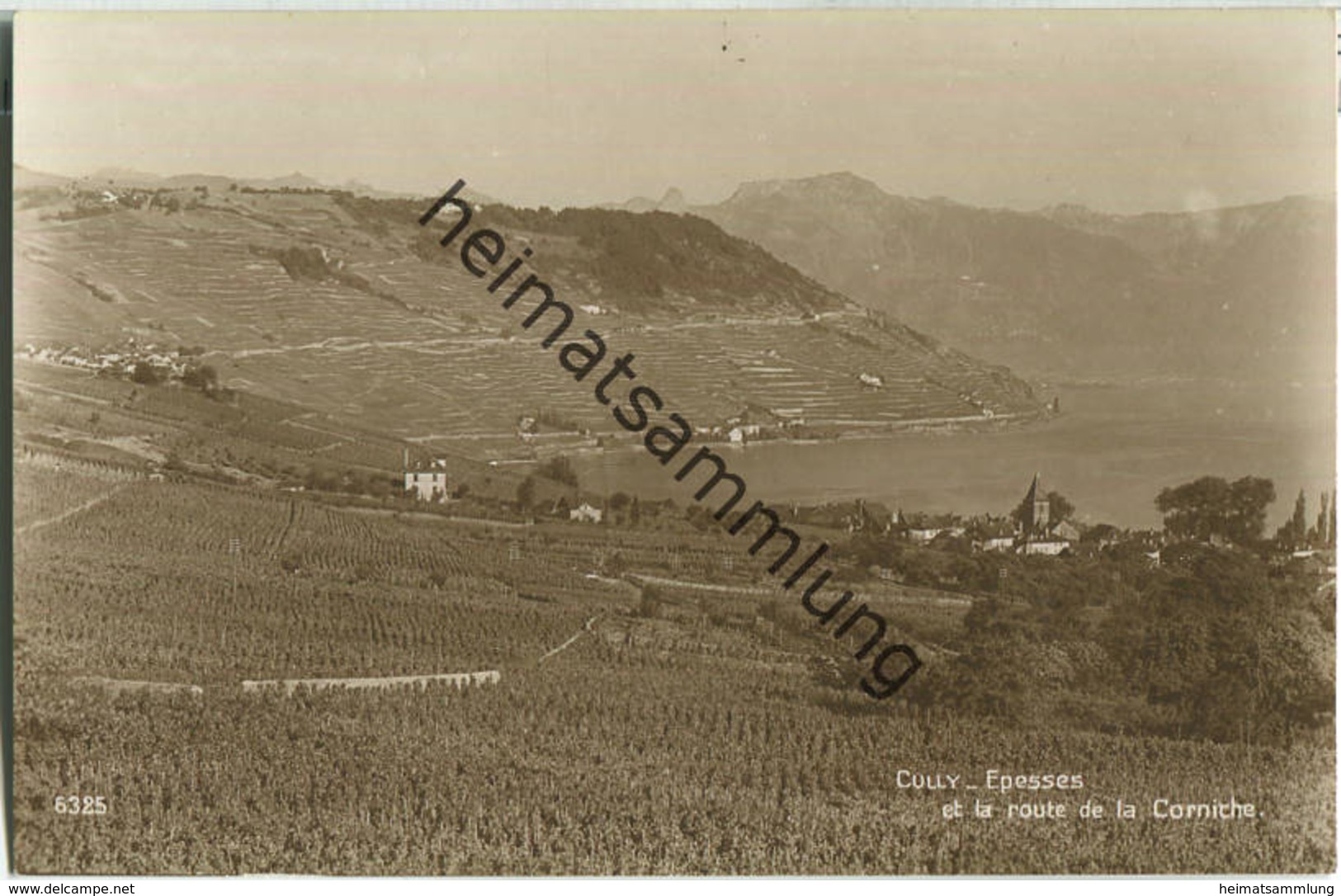 Bourg-en-Lavaux - Cully - Epesses - Foto-Ansichtskarte - Cully