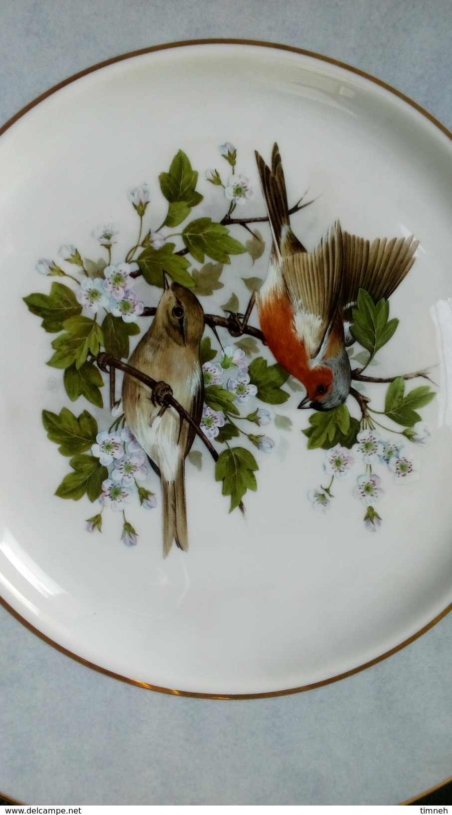 Jolie ASSIETTE Décor Oiseaux Sur Une Branche (sérigraphie) PORCELAINE DE LIMOGES FRANCE 25cm Oiseau - Limoges (FRA)