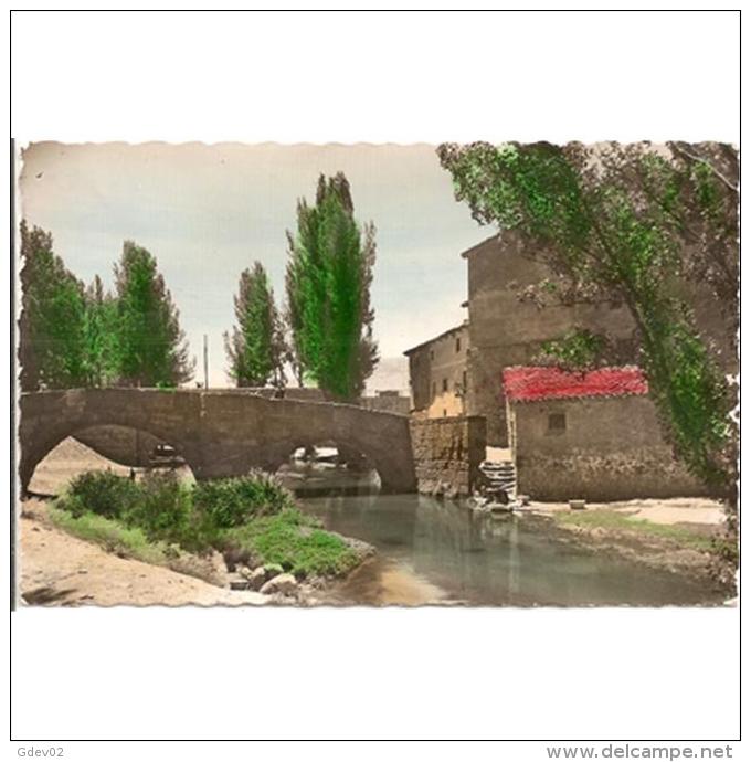 GDLJRTP6783-LFTD5591.Tarjeta Postal DE GUADALAJARA.Casas,arboles,PUENTE Y RIO GALLO En MOLINA DE ARAGON - Guadalajara