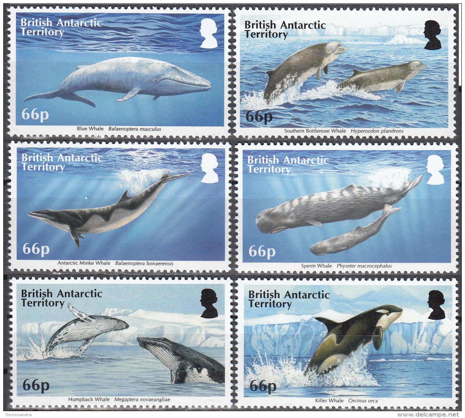 British Antarctic Territory 2015 Cétacés Neuf ** - Unused Stamps