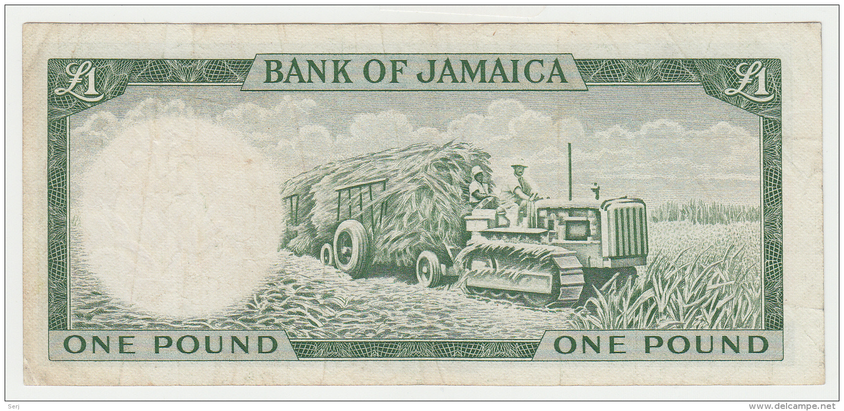 Jamaica 1 Pound 1960 (1964) VF++ P 51Ce - Jamaica