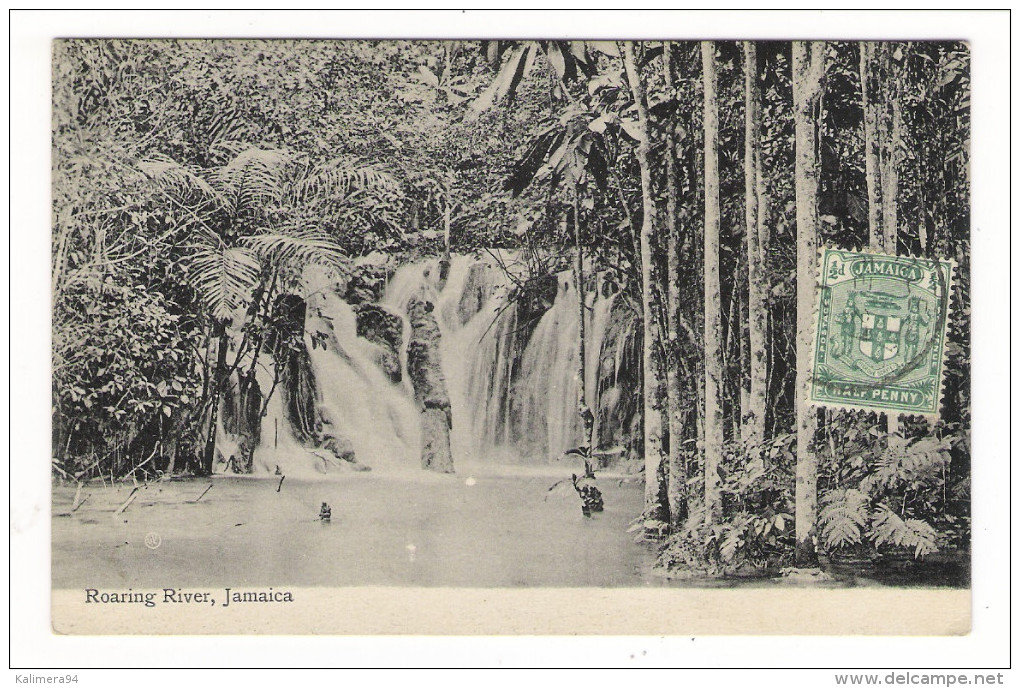 JAMAÏQUE  /  JAMAICA  /  ROARING  RIVER  /  BEAU  TIMBRE.... - Jamaica