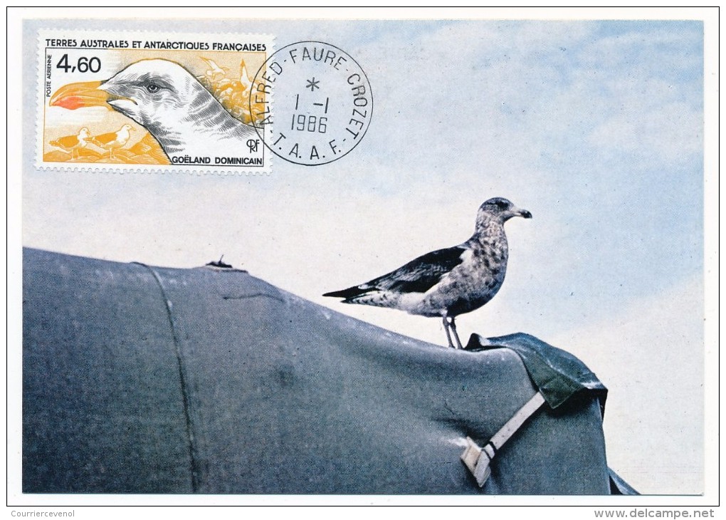 TAAF - Carte Maximum - Goéland Dominicain - Albert Faure Crozet - 1-1-1986 - Briefe U. Dokumente