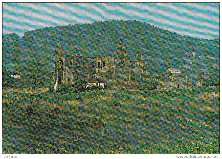 WALES - Tintern Abbey - Monmouthshire