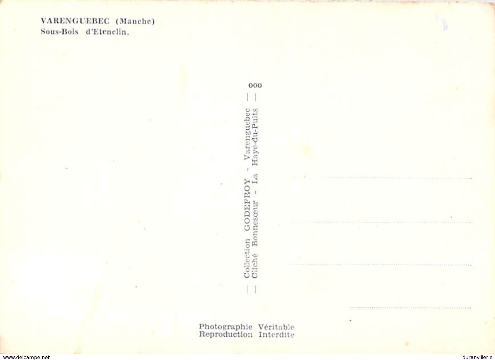 50 - VARENGUEBEC. Sous-Bois D´Etenclin (Manche) Proche La Haye Du Puits Cpsm - Autres & Non Classés