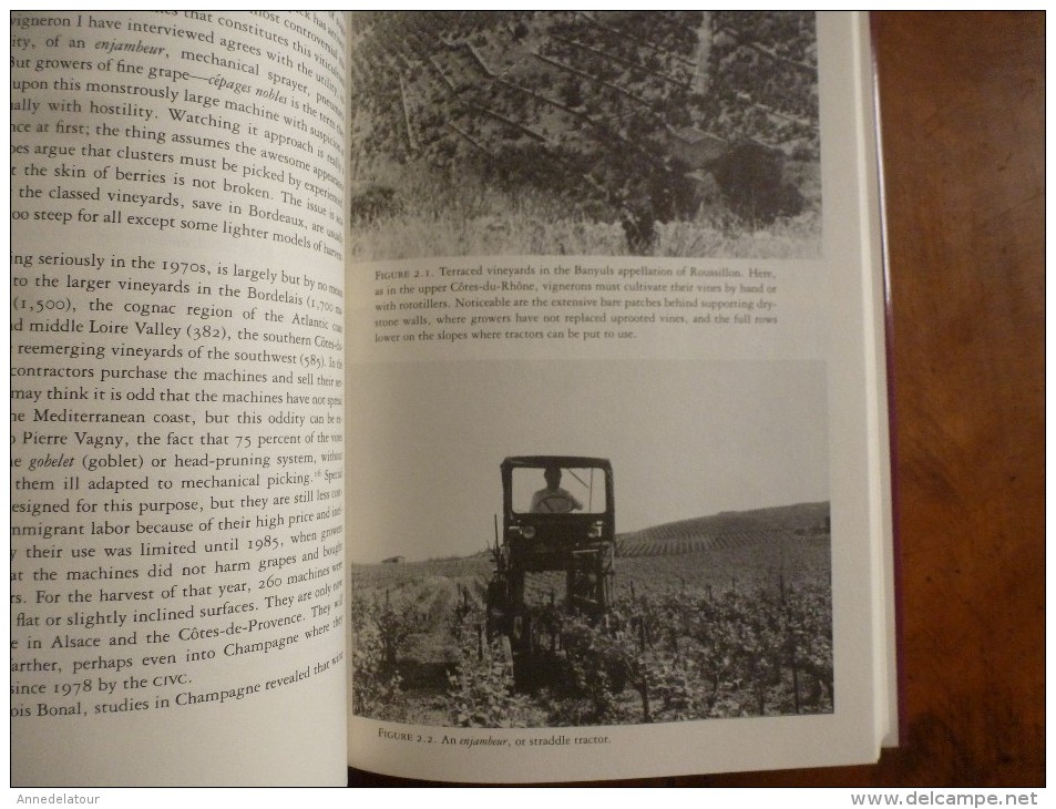 The Wine Revolution in France: The Twentieth Century – 1990 by Leo A. Loubere (Author)