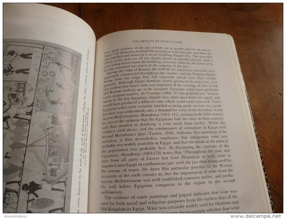 Wine and the Vine: An Historical Geography of Viticulture and the Wine Trade