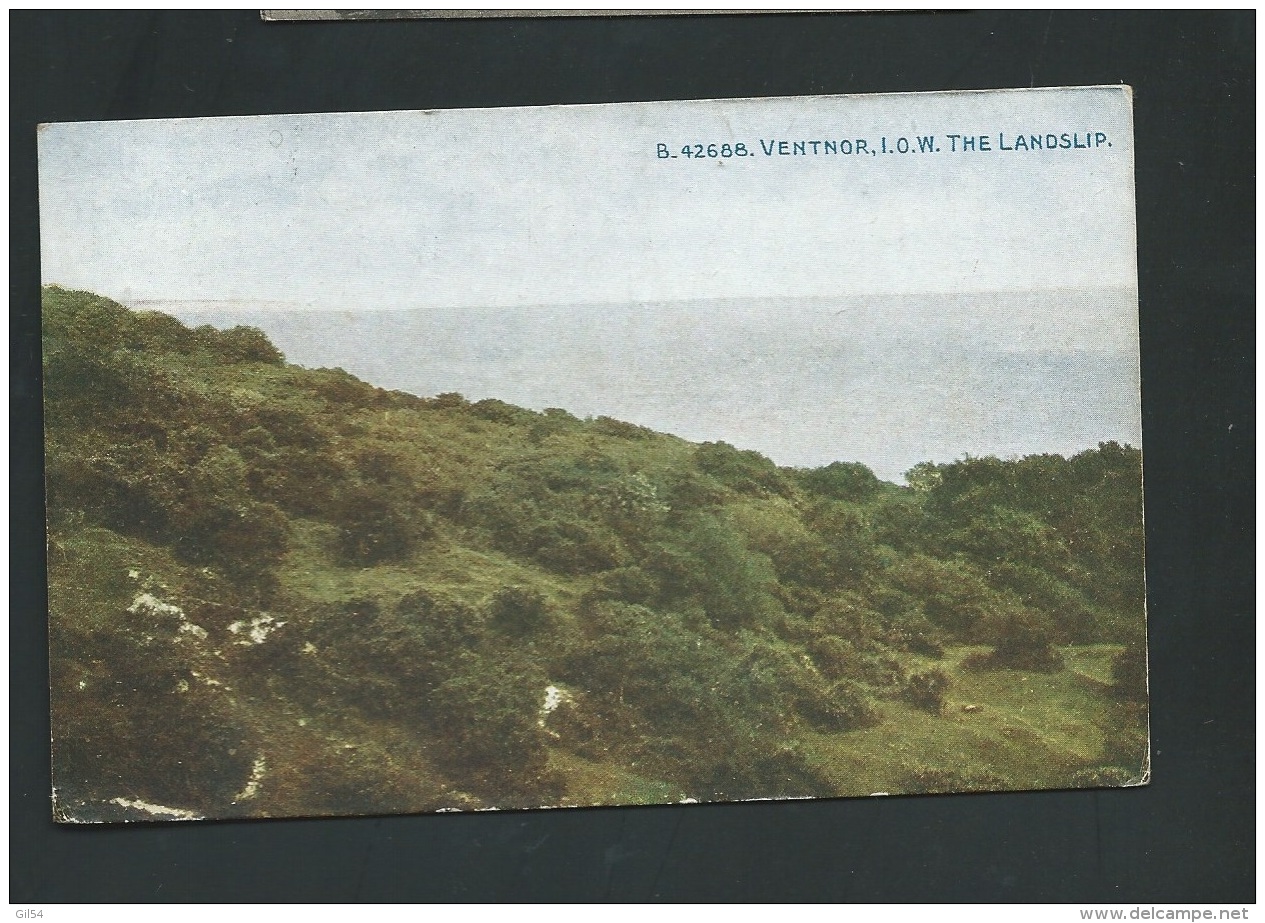 Ventnor , I.O.W. The Landslip   - Obe2520 - Ventnor