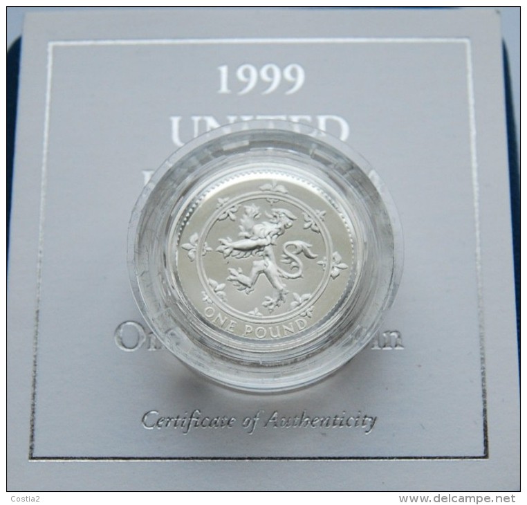 1999 Royal Mint Silver Proof £1 Pound Coin In Box - 1 Pound