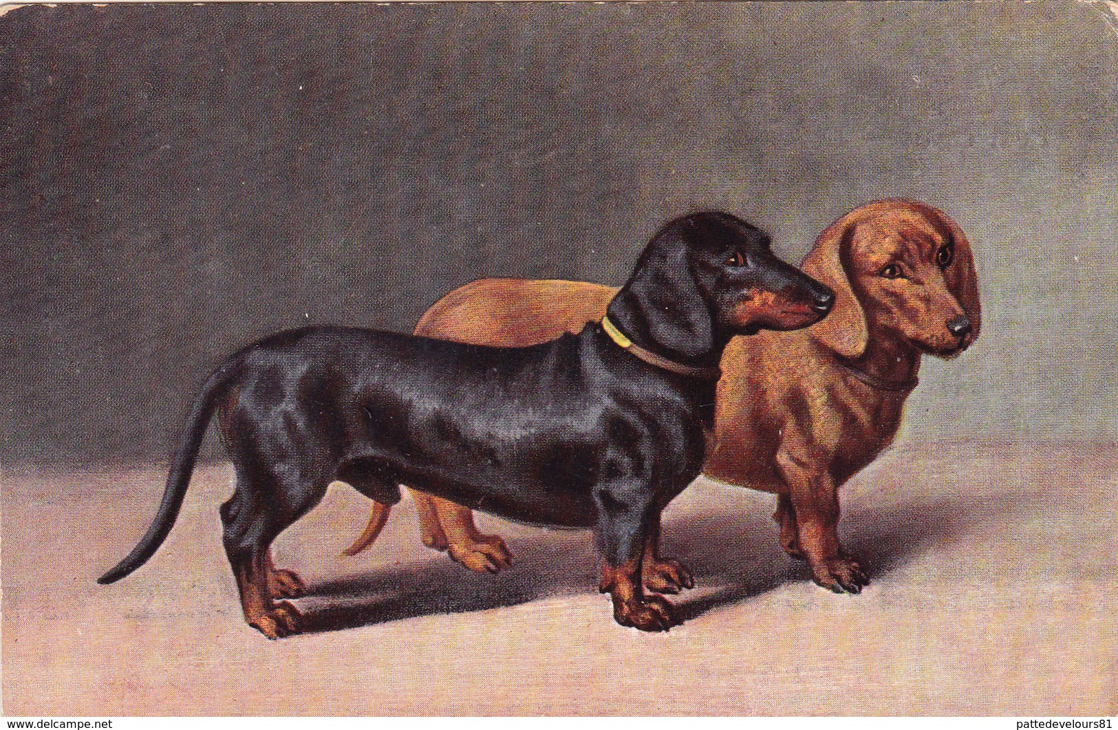 CPA Chien 2 Teckels Dackel Dachshund Basset Vienne Viennoise T.S.N. Série 701  Illustrateur - Cani