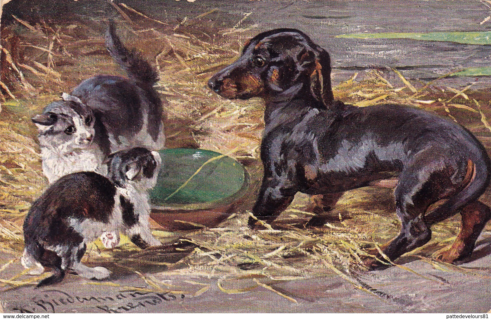 CPA Chien Teckels Dackel Dachshund Basset Bassotto Chat Cat Catze Illustrateur (2 Scans) - Dogs