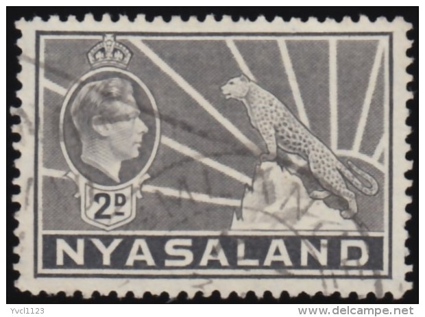 NYASALAND - Scott #57 George VI &amp; Leopard / Used Stamp - Nyasaland (1907-1953)