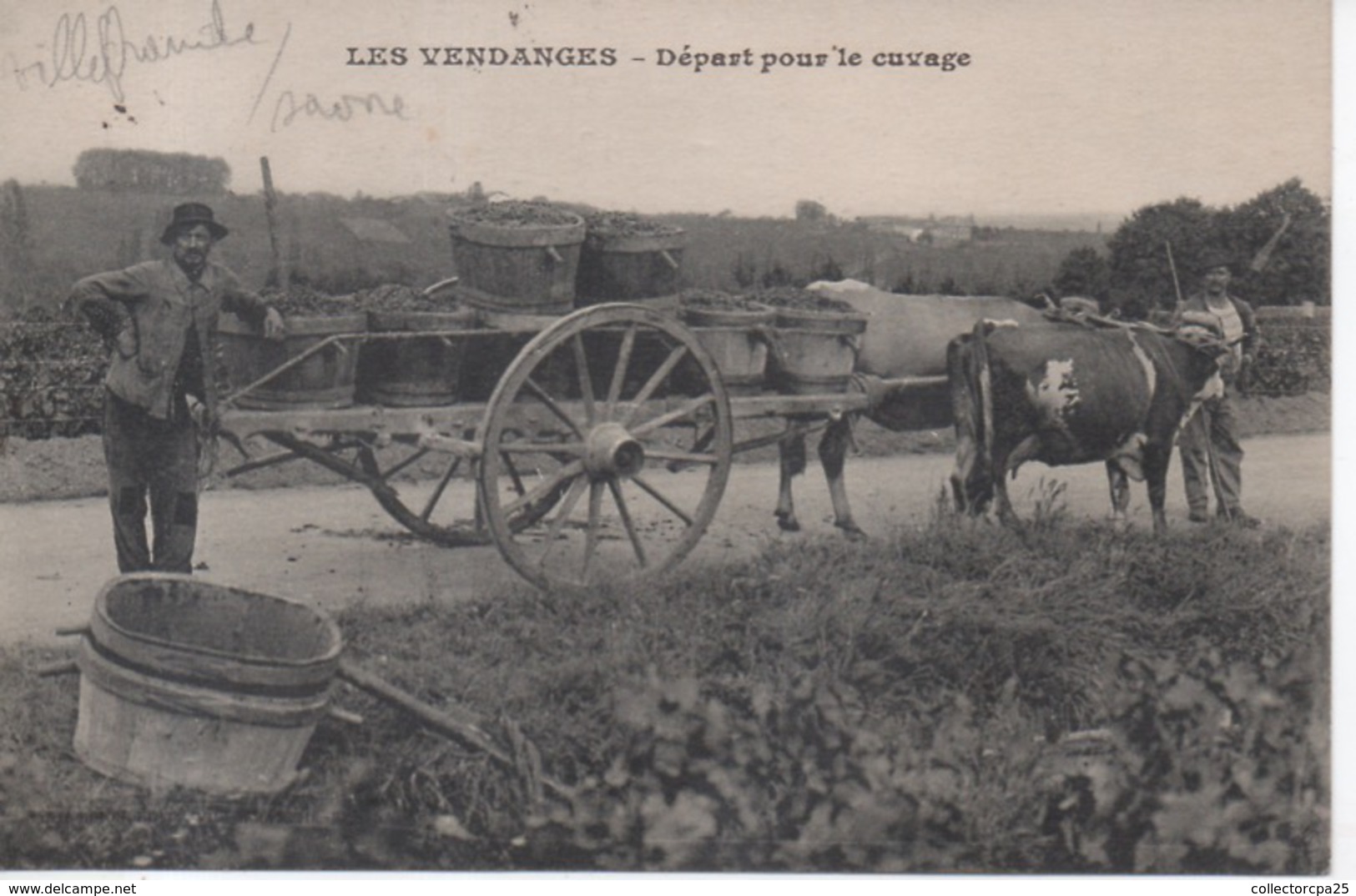Environs De Villefranche Sur Saône La Grange Chervet Gleizé Rhône Les Vendanges Départ Pour Le Cuvage Attelage Gros Plan - Gleize