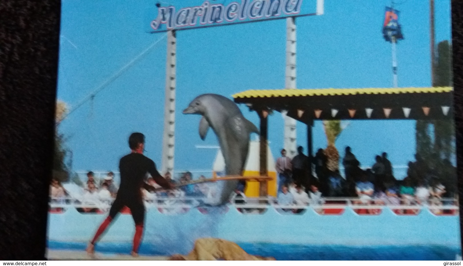 CPM MARINELAND D ANTIBES ROUTE DE BIOT DAUPHINS - Dauphins