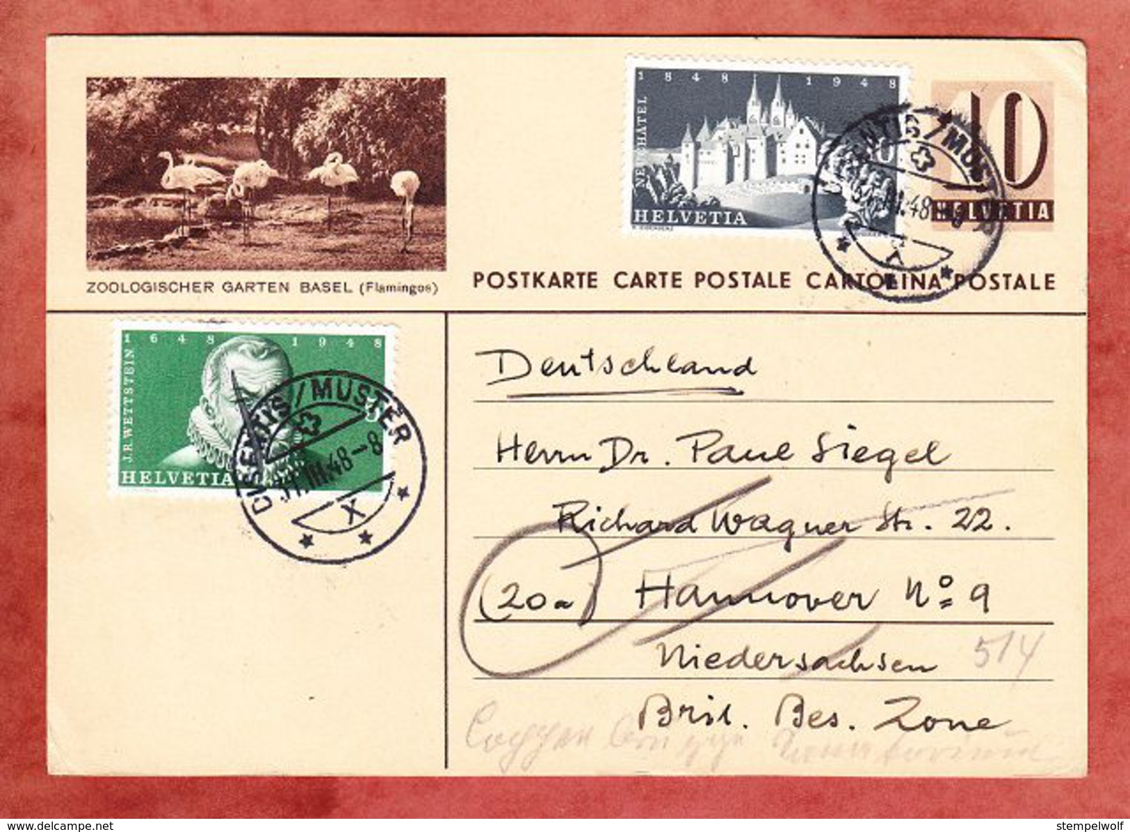 P 184 I Ziffer + ZF, Abb: Zoologischer Garten Basel Flamingos, Disentis Muster Nach Hannover, Zurueck? 1948 (33760) - Stamped Stationery