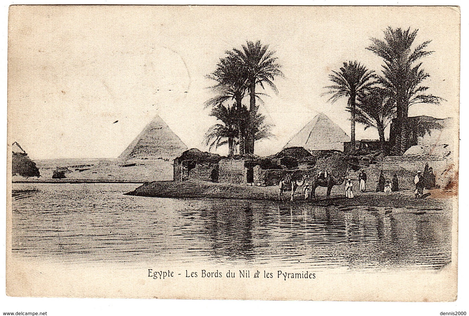 EGYPTE - EGYPT - Les Bords Du Nil Et Les Pyramides - Pyramids