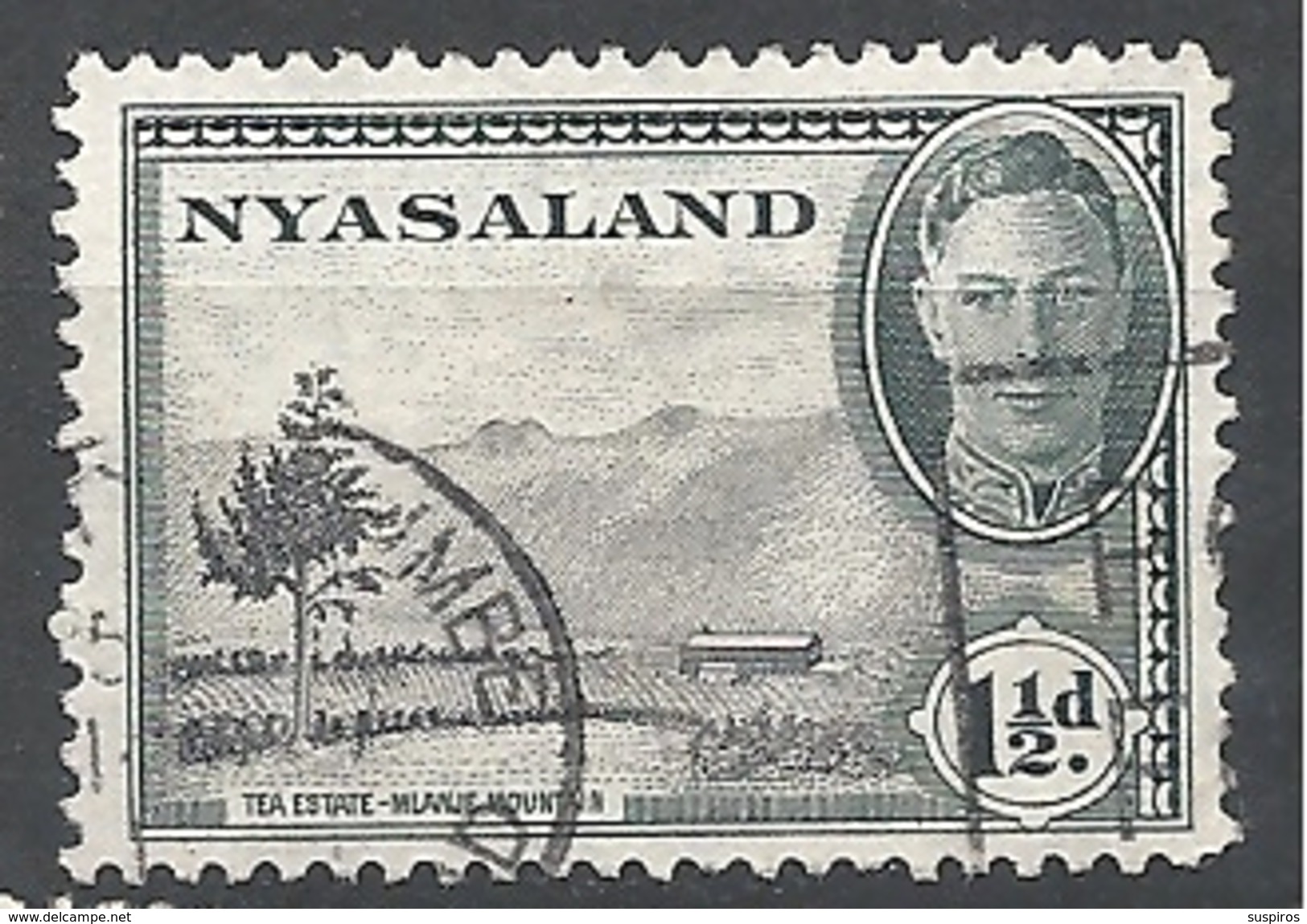 NYASSALAND     1945 King George VI, Local Motives  USED   TEA STATE MULANJE MONTAIN - Nyasaland (1907-1953)