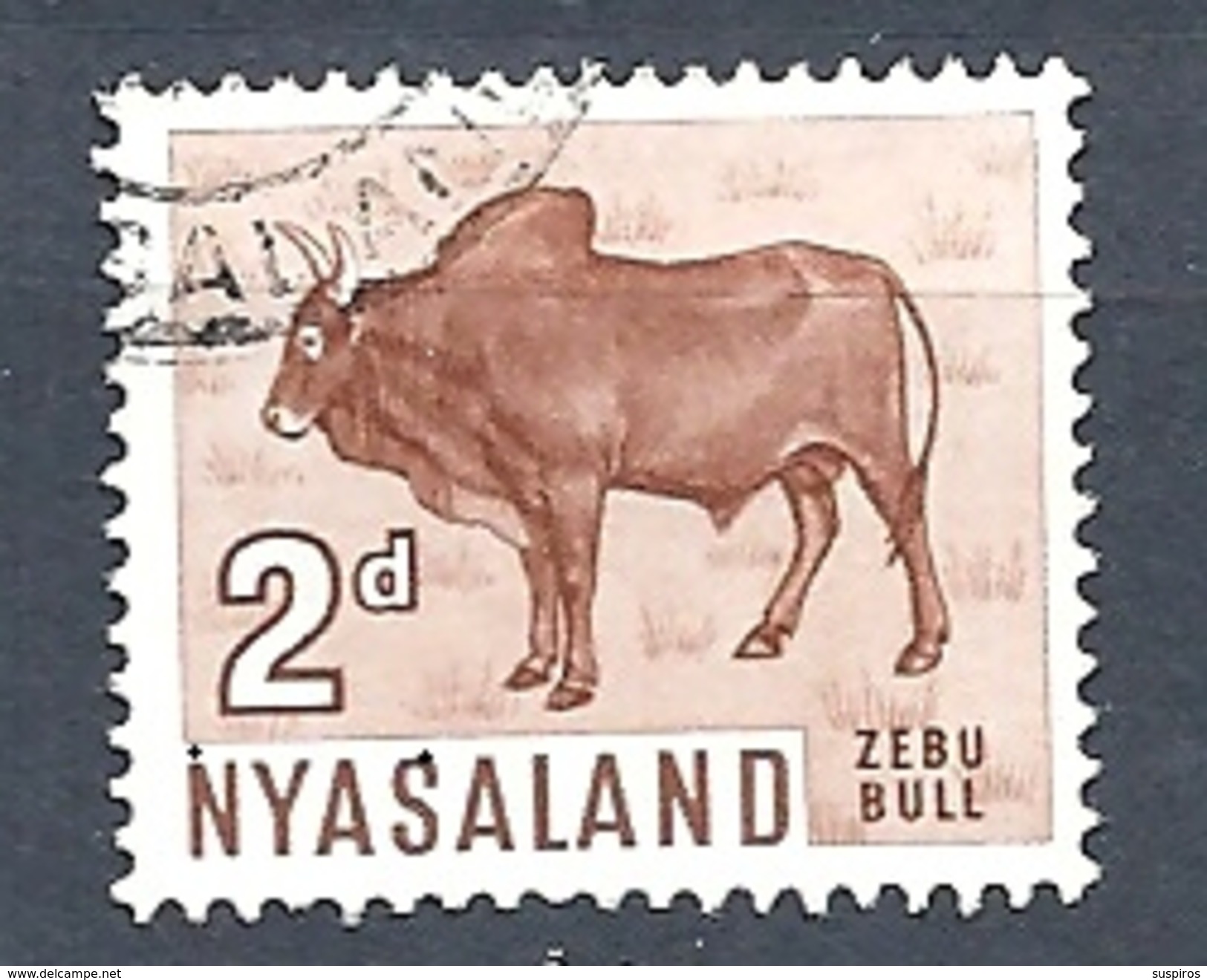 NYASSALAND   1964 Local Motives  USED  ZEBU BULL - Nyassaland (1907-1953)