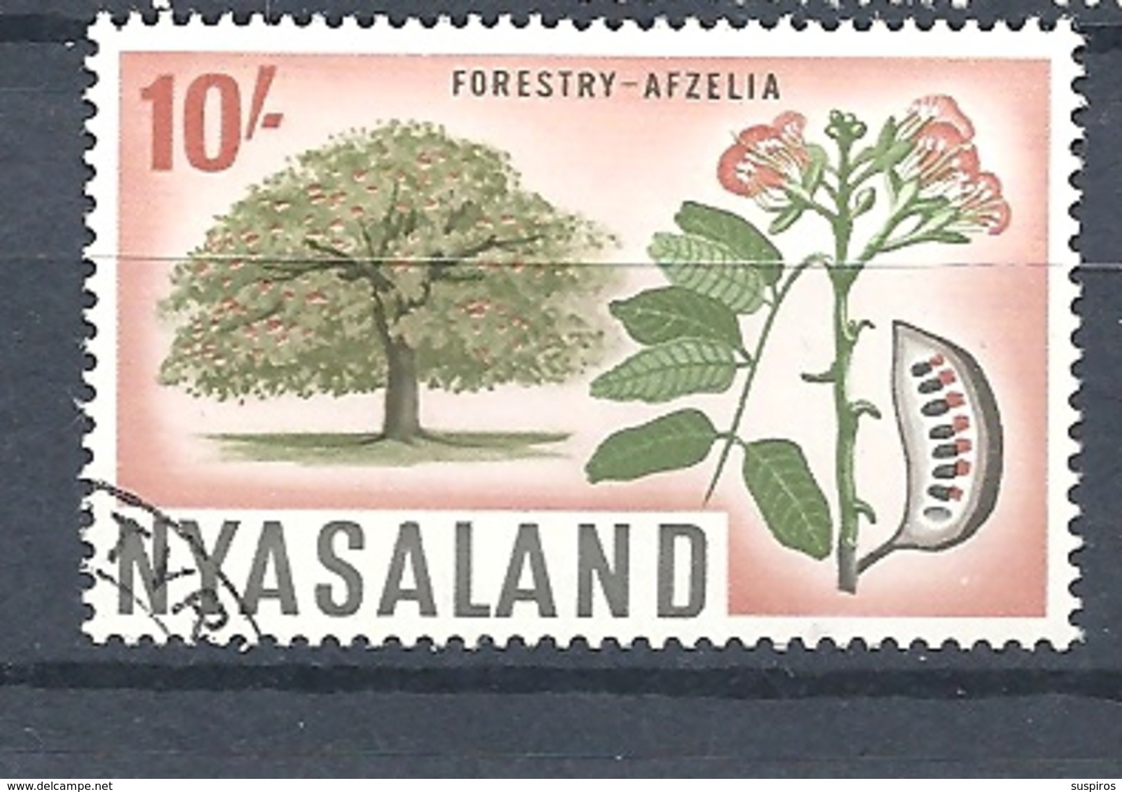NYASSALAND   1964 Local Motives  USED  FORESTRY AFZELIA TREE - Nyassaland (1907-1953)