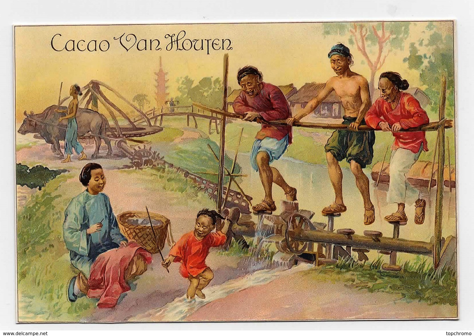 CHROMO émargée Cacao Van Houten Chine Chinois Animal Zébu Eau Irrigation Mère Enfant Hommes Femmes - Van Houten