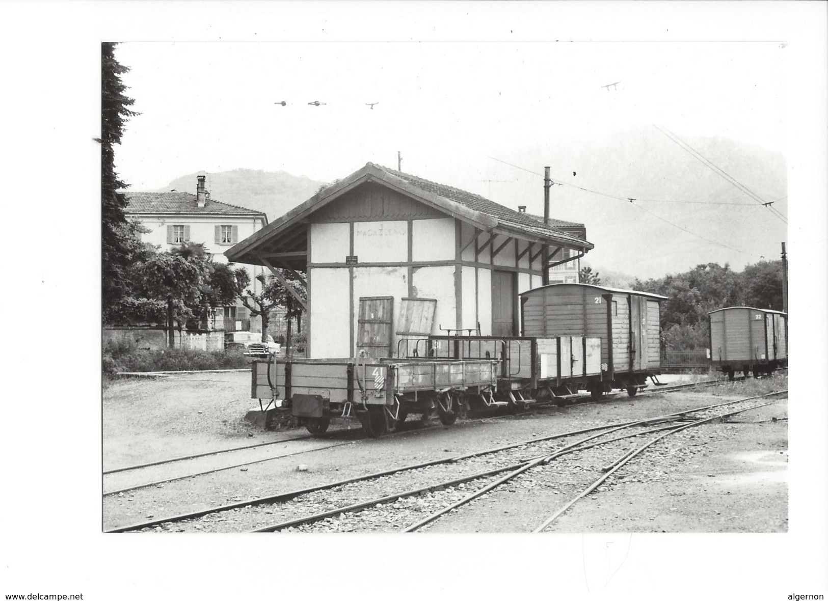 19005 - Chemin De Fer Tout Le Parc Marchandises Tesserete M41 Photo Renault 1964 BVA (format10X15) - Tesserete 